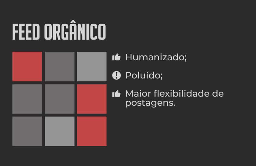 Feed no Instagram: Harmônico ou Orgânico?