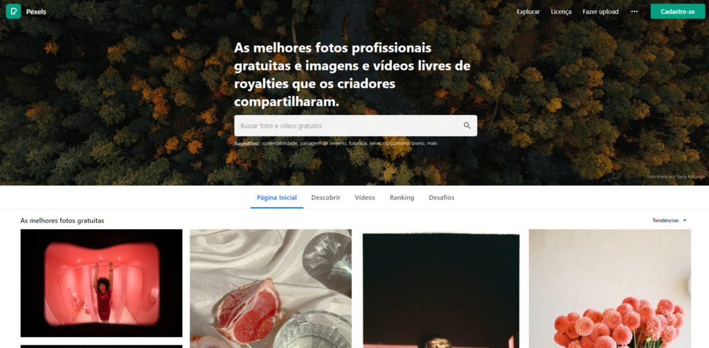 Bancos de imagens gratuitos