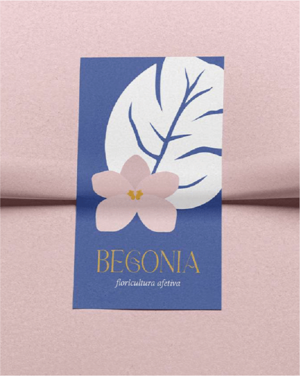 begonia